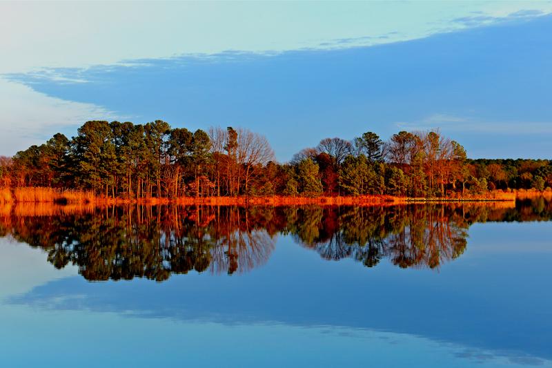 "December Reflections"