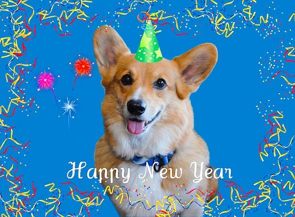 dog-happy-new-year